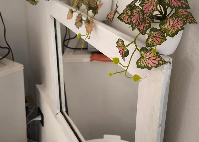 Cusa Διαμέρισμα Κατάνια